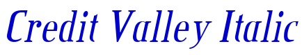 Credit Valley Italic fuente